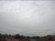 Mannheim So. 12.4.