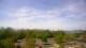 Spotsylvania, Virginia So. 12.4.