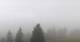 Furtwangen im Schwarzwald So. 12.4.