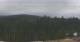 Kranzbach So. 12.4.