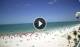 Fort Myers Beach, Florida So. 12.4.