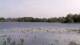 Les Landes-Genusson So. 12.4.