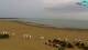 Caorle So. 12.4.