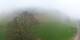 Buttes So. 12.4.