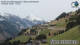 St. Veit in Defereggen So. 12.4.
