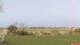 Nordstrand So. 12.4.