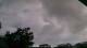 Carrum So. 12.4.