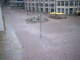 Chemnitz So. 12.4.