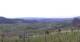 Valdobbiadene So. 12.4.
