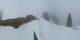 Braunwald So. 12.4.