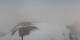Baqueira So. 12.4.
