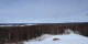 Talkeetna, Alaska So. 12.4.