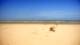 Berck-sur-Mer So. 12.4.