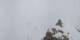 Simplon So. 12.4.