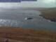 Vidlin (Shetland) So. 12.4.