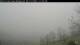 Elzach So. 12.4.