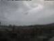 Mataro So. 12.4.