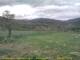 Cantalupo Ligure Mo. 13.4.