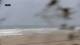 Praia de Esmoriz Mo. 13.4.