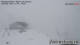 Grindelwald Mo. 13.4.