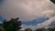 Carrum Mo. 13.4.