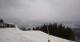 Aprica Mo. 13.4.