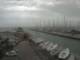Cervia Mo. 13.4.