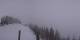 Enumclaw, Washington Mo. 13.4.