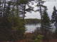 Hoel Pond, New York Di. 14.4.