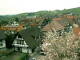 Sasbachwalden Di. 14.4.