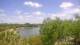 Lakewood Ranch, Florida Di. 14.4.