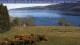 Loch Ness Di. 14.4.