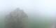 Buttes Di. 14.4.