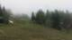 Cordon Di. 14.4.