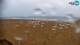Bibione Di. 14.4.