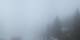 Flims Di. 14.4.