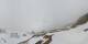 Belalp Di. 14.4.