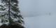 Luchsingen Di. 14.4.