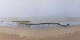 Saint-Brevin-les-Pins Di. 14.4.