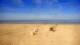Berck-sur-Mer Di. 14.4.