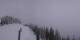 Enumclaw, Washington Di. 14.4.