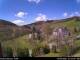 Diedenshausen (Bad Berleburg) Di. 14.4.