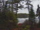Hoel Pond, New York Mi. 15.4.