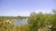 Lakewood Ranch, Florida Mi. 15.4.