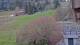 Zell am See Mi. 15.4.