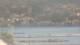 Balaruc-les-Bains Mi. 15.4.