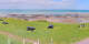 Donville-les-Bains Mi. 15.4.
