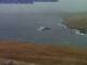 Vidlin (Shetland) Mi. 15.4.