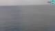 Piran Mi. 15.4.