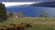 Loch Ness Do. 16.4.
